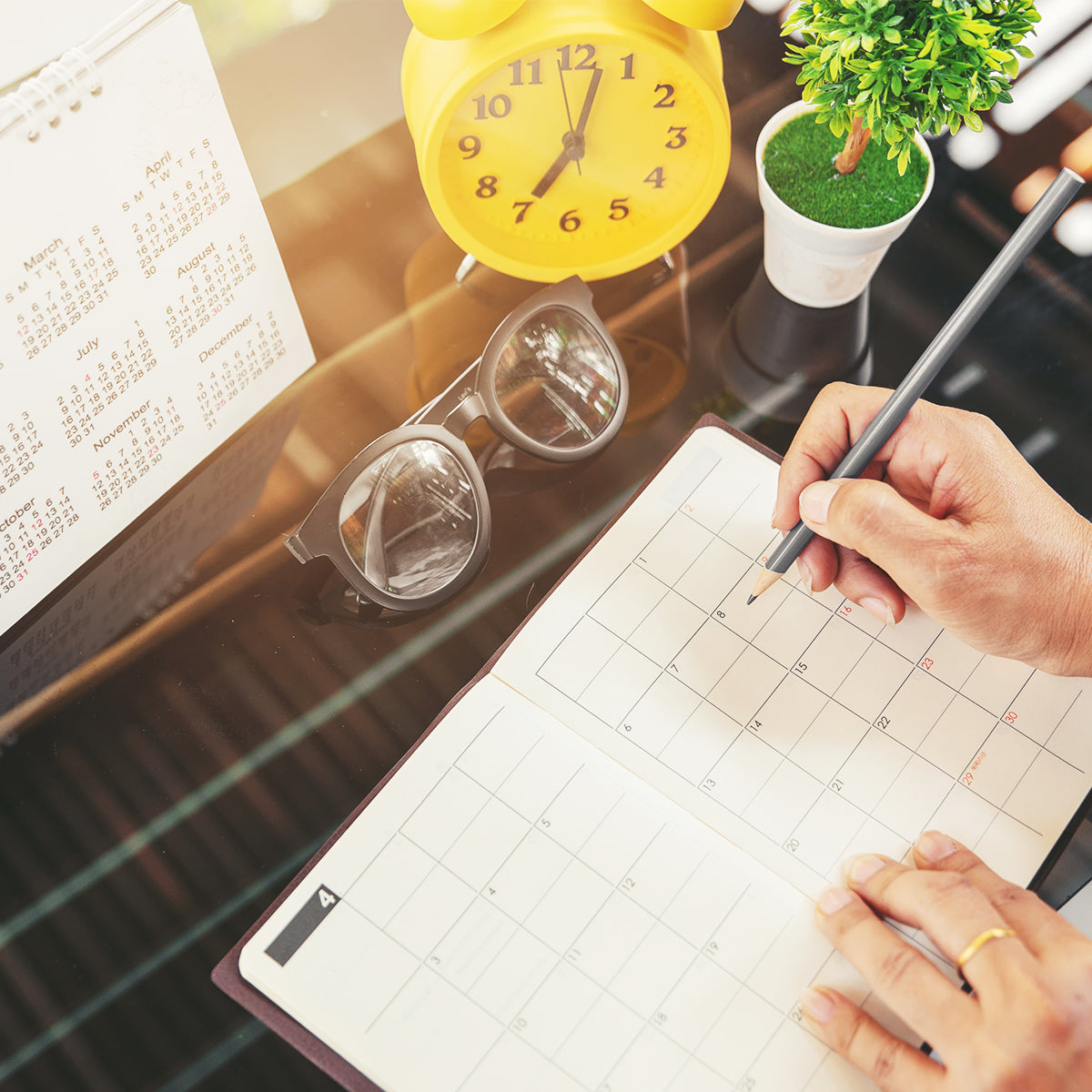 Agendas y Calendarios | PracticOffice