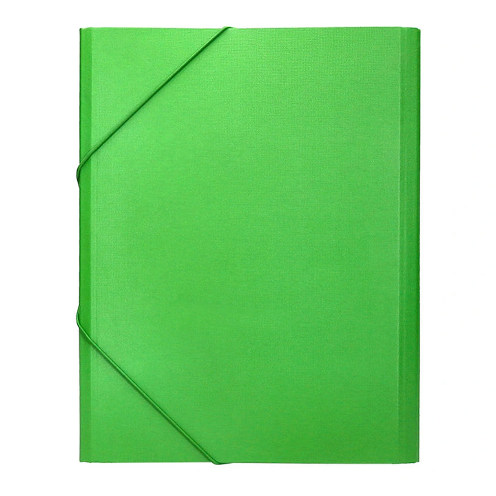 LIDERPAPEL - Carpeta Clasificadora Tamaño Folio Prolongado Cierre con Goma Carton Forrado. Verde Claro