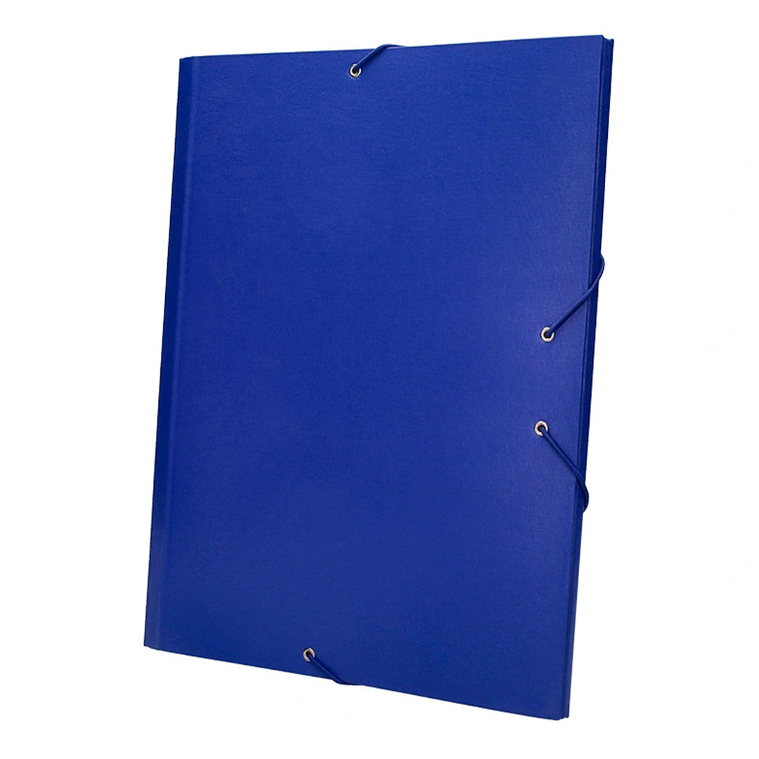 LIDERPAPEL - Carpeta Clasificadora Tamaño Folio Prolongado Cierre con Goma Carton Forrado. Azul