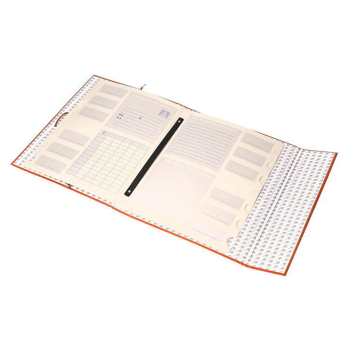 LIDERPAPEL - Carpeta Clasificadora Tamaño Folio Prolongado Cierre con Goma Carton Forrado. Naranja