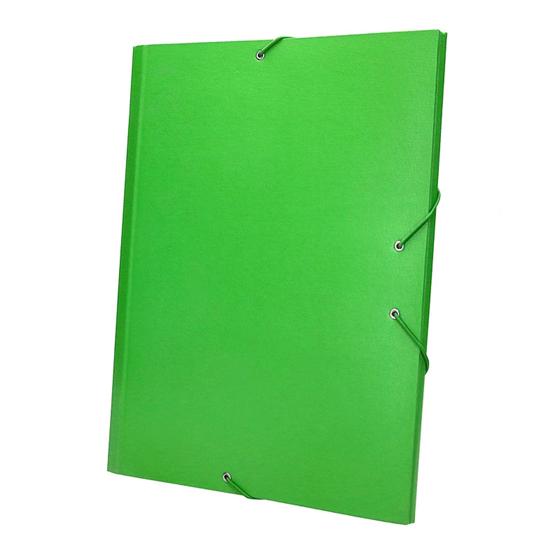 LIDERPAPEL - Carpeta Clasificadora Tamaño Folio Prolongado Cierre con Goma Carton Forrado. Verde Claro