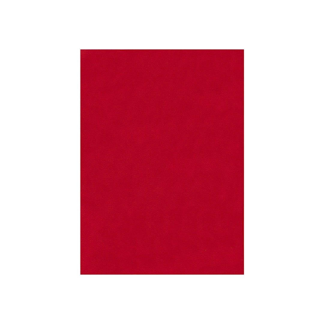 LIDERPAPEL - Fieltro Liderpapel 50x70cm Rojo 160g/M2