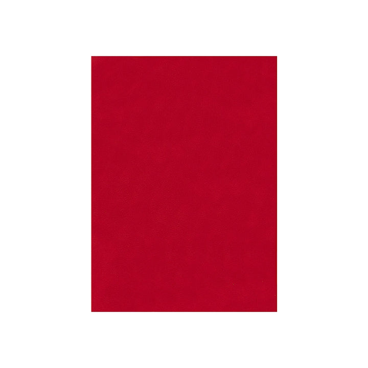 LIDERPAPEL - Fieltro Liderpapel 50x70cm Rojo 160g/M2