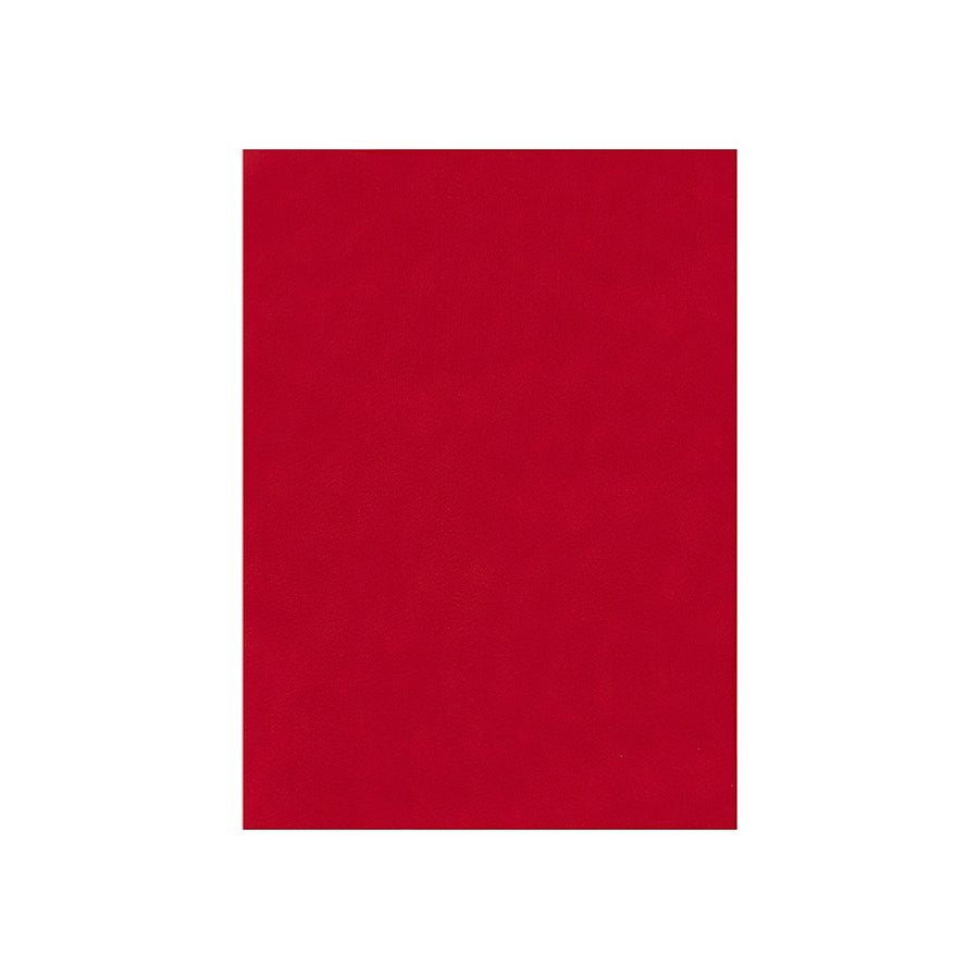 LIDERPAPEL - Fieltro Liderpapel 50x70cm Rojo 160g/M2