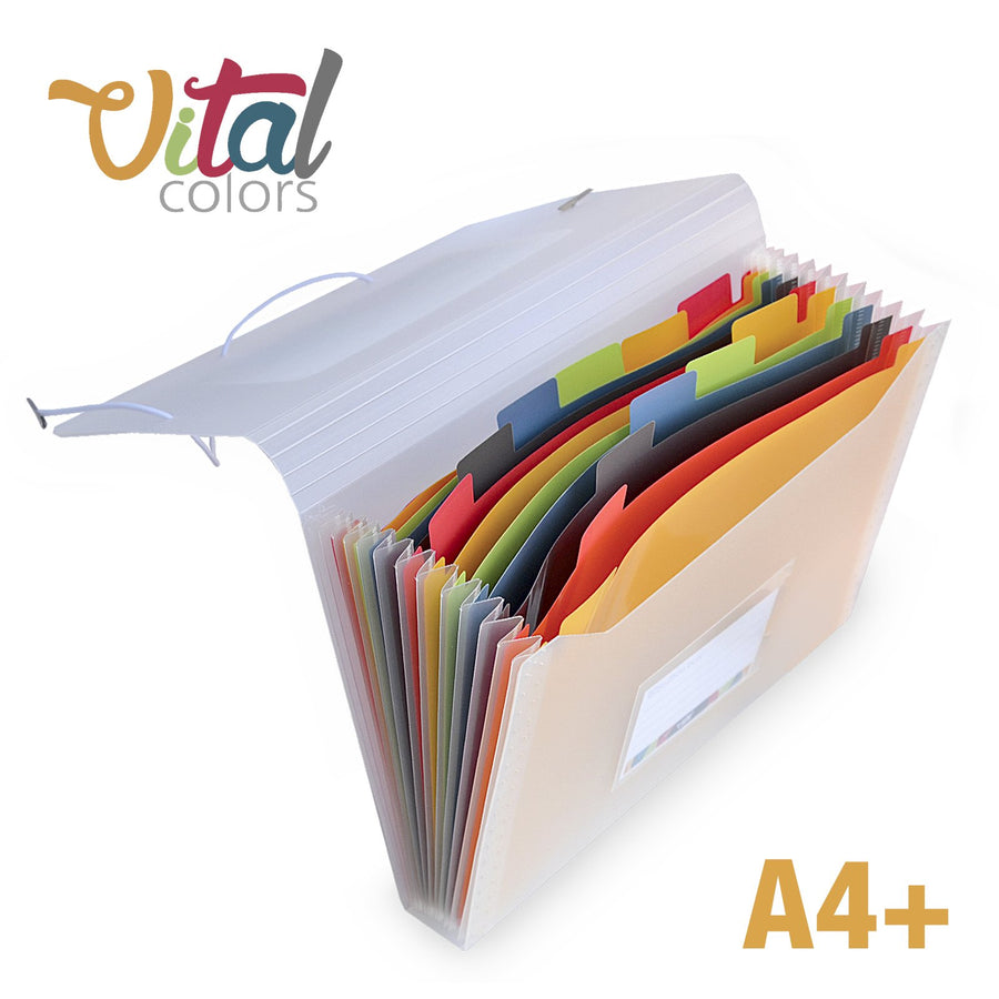 OFFICE BOX Vital Colors - Carpeta Clasificadora de Documentos A4+ con 12 Divisiones