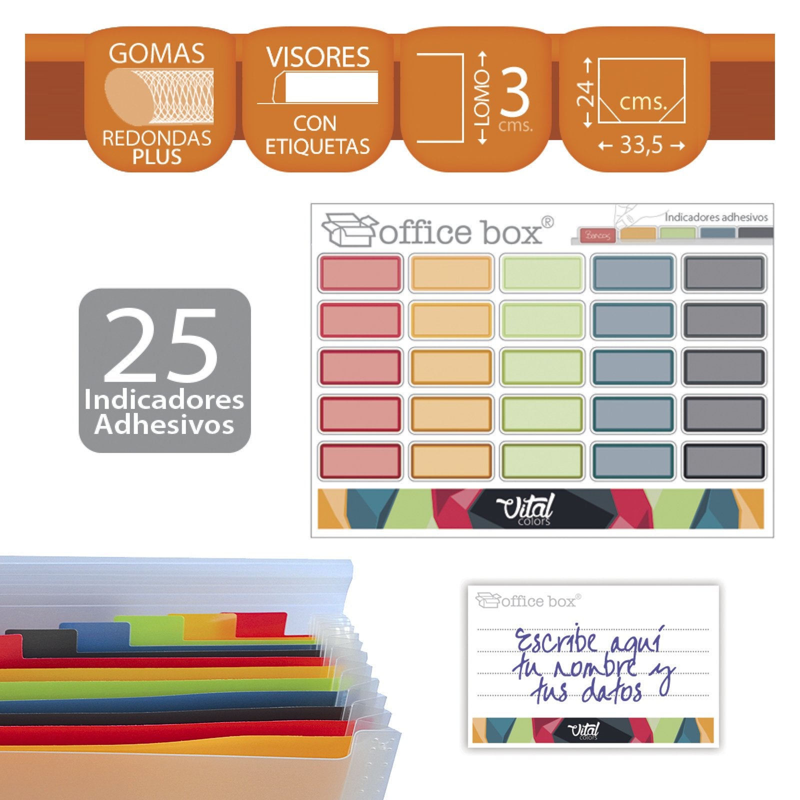 OFFICE BOX Vital Colors - Carpeta Clasificadora de Documentos A4+ con 12 Divisiones