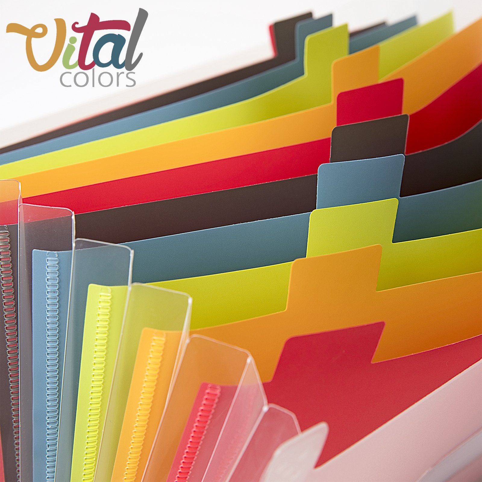 OFFICE BOX Vital Colors - Clasificador de Documentos A5 con 12 Divisiones