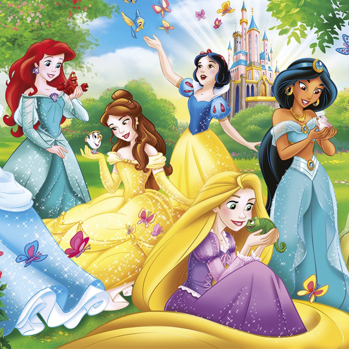 Shuffle Fun Princess - Juego de Cartas Infantil Carrera hasta el Palacio con Figuras de Bella y Jazmín